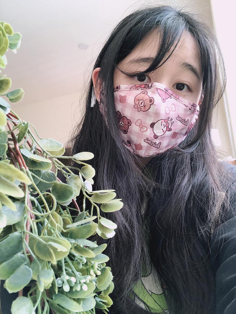 gingham teddy bear printed face mask